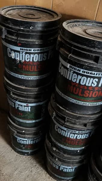 Emulsion & Tex Coat Paints