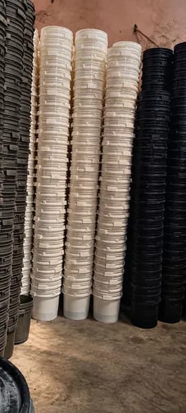 Plastics & Polymers
